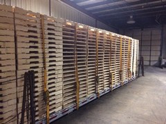 Are Shipping Pallets Treated? What Buyers Should Know