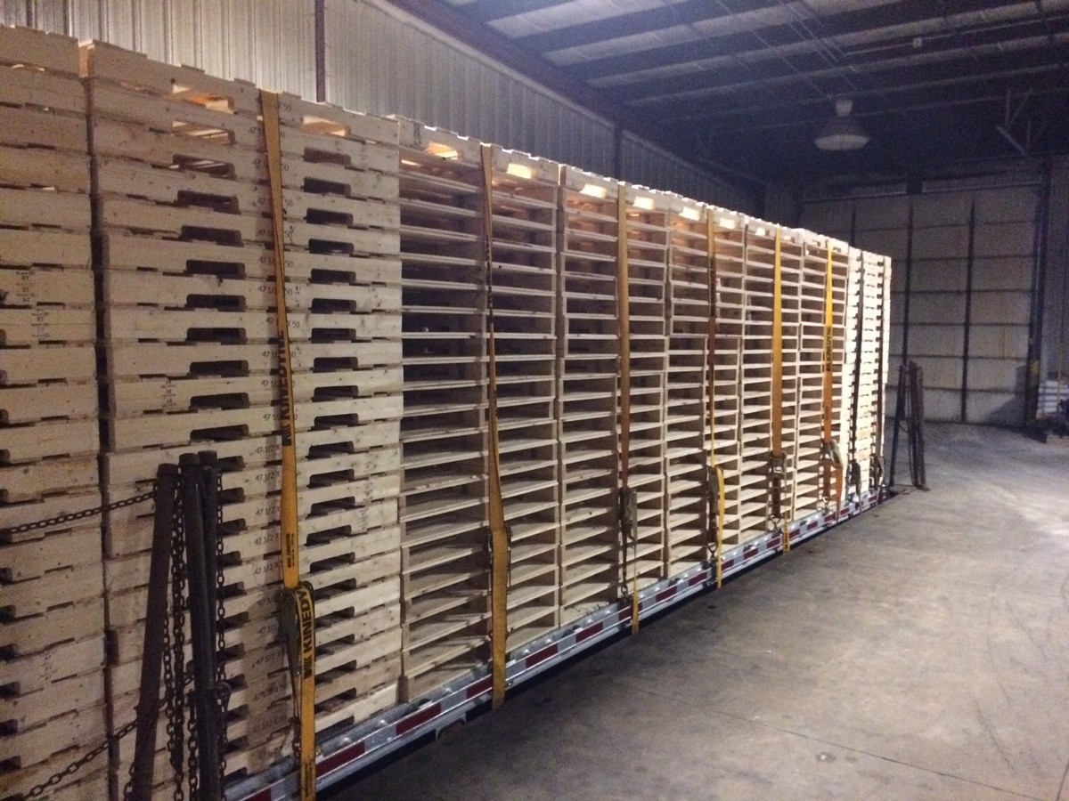 Are Shipping Pallets Treated? What Buyers Should Know